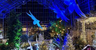 Bright Nights. Lauritzen Gardens. Image Property of Lauritzen Gardens